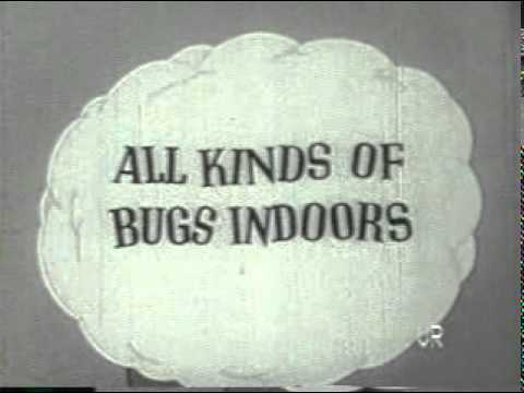 Classic Tv Commercial   Raid House & Garden Bug Killer