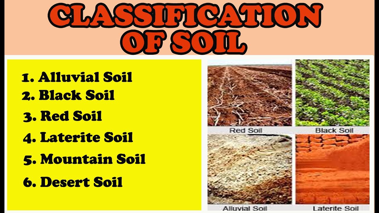 Classification of Soil in Tamil || 8th Social Geography Unit 1 Rocks and Soils || Types of Soils