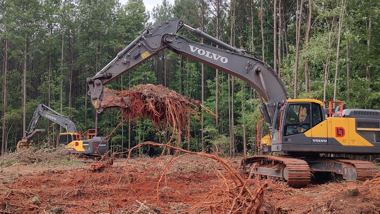Cleaning Up The Logging Deck And House Lot