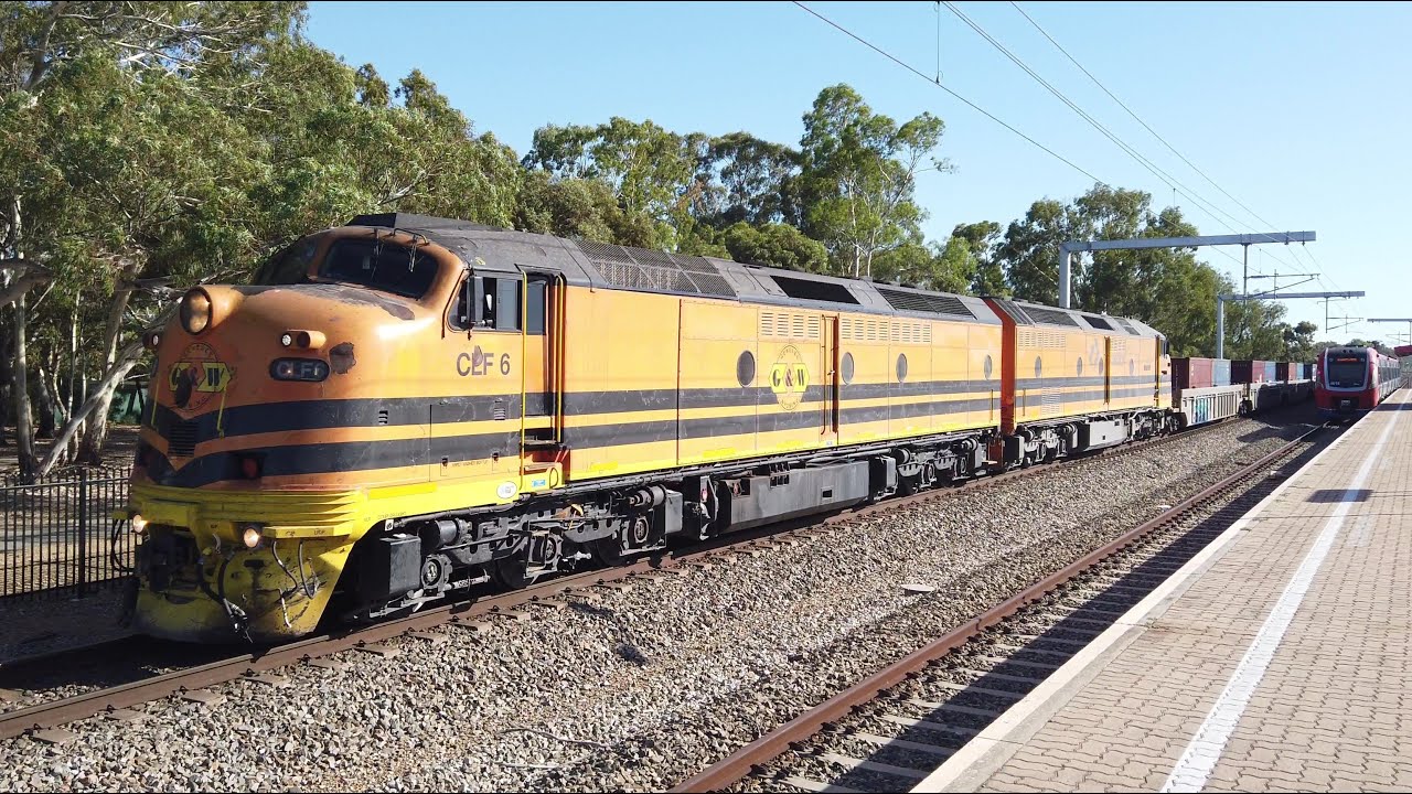 CLF6 + CLP14 #4116s