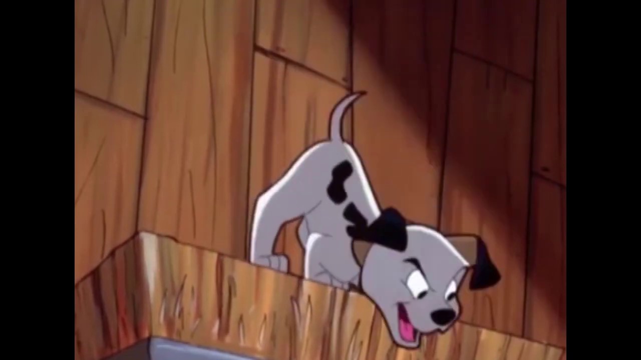 Clifford and Lucky Dearly lions (puppies) over all