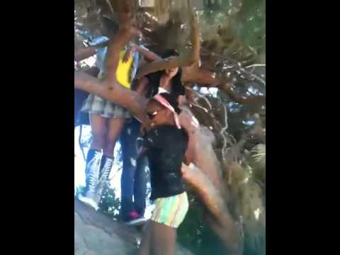 Climbing The Sexy Tree Haha