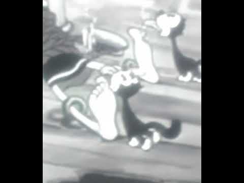 Closeup of Olive Oyl getting her feet tickled by two cats longer version