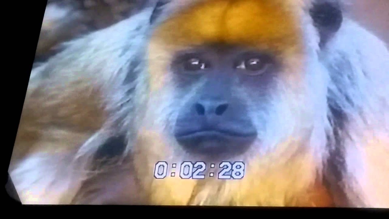 Closing Nature dogs early years vhs 2001