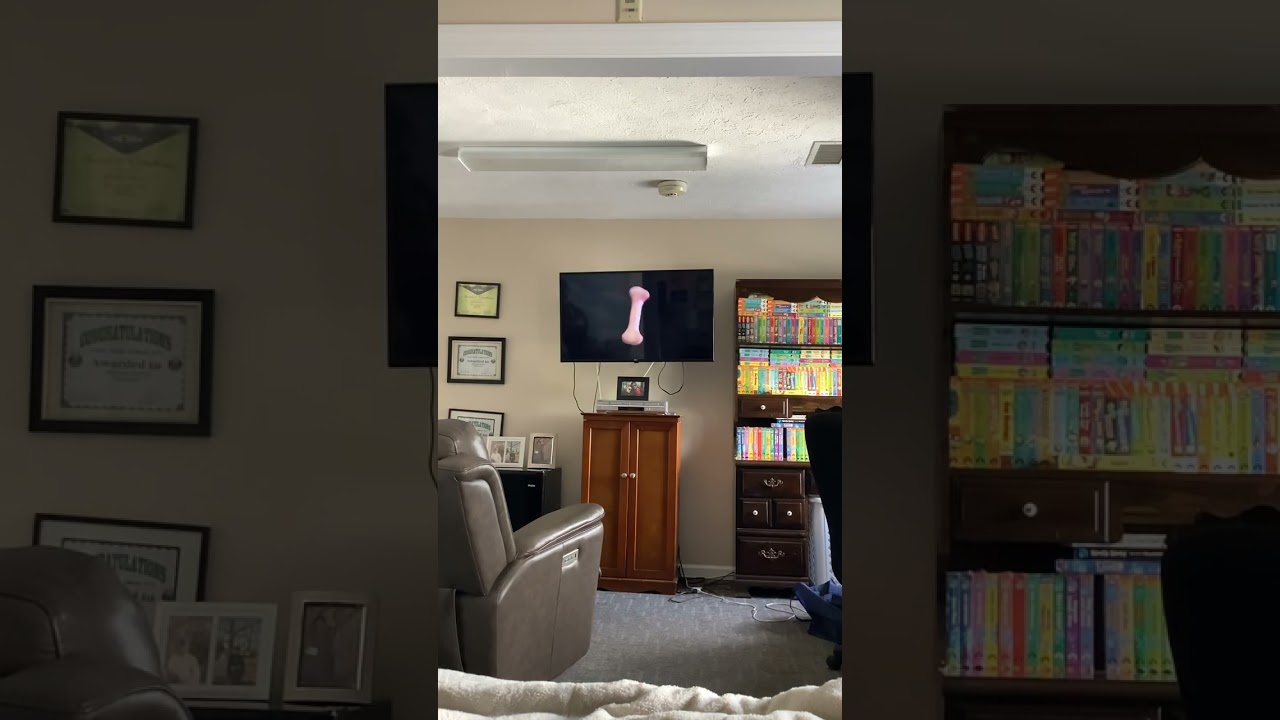 Closing To Blue's Clues All Kinds Of Signs 2001 VHS