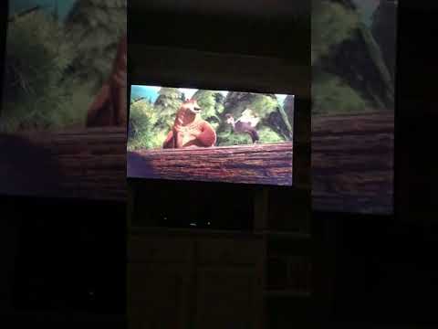Closing To Open Season 2006 DVD