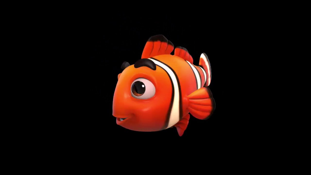 Clown Fish