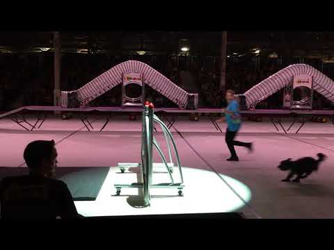 CNE 2018