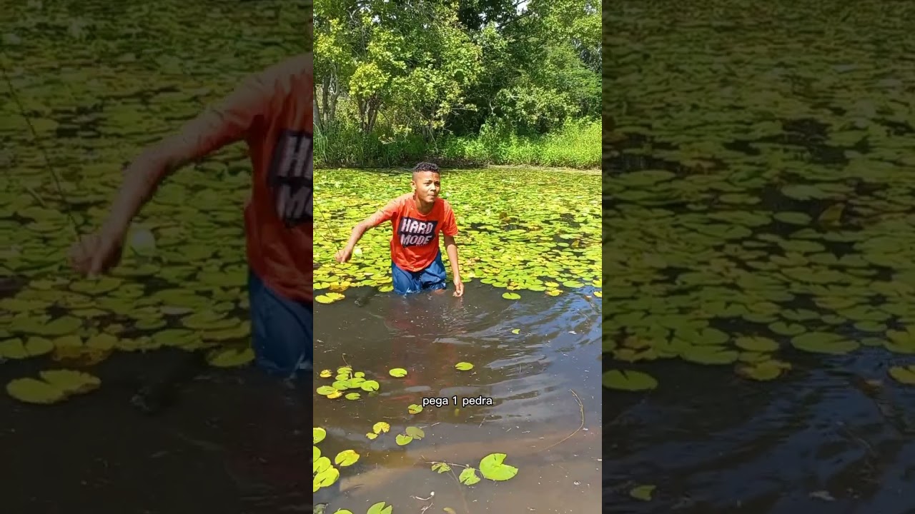 cobra no lago