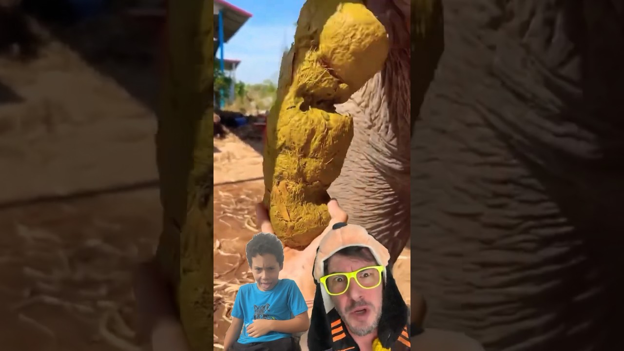 COCO DE ELEFANTE 🐘 💩🤢 #shortsvideo #funny #animails #fruit #elephant @Italianinho