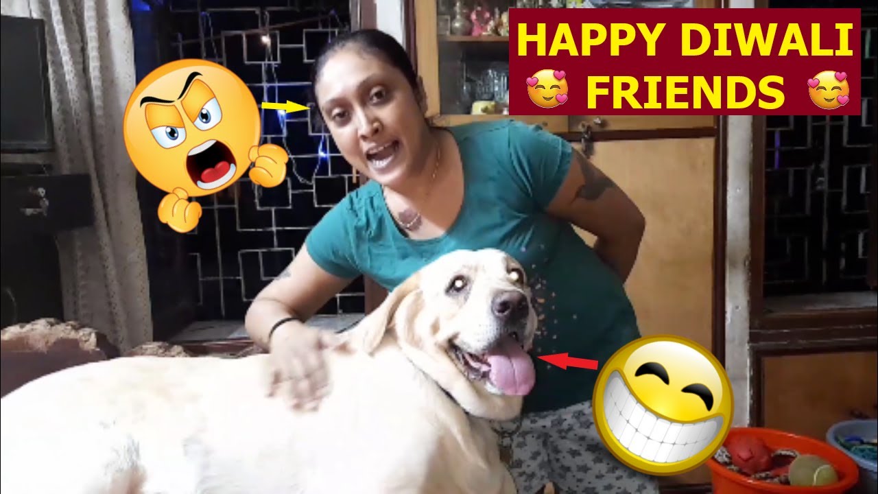 COCO HELPS IN DIWALI DECORATION | LOTS OF SM00CHES BETWEEN MUM & COCO | WATCH THE FULL VIDEO...🥰😘🥰😘🥰