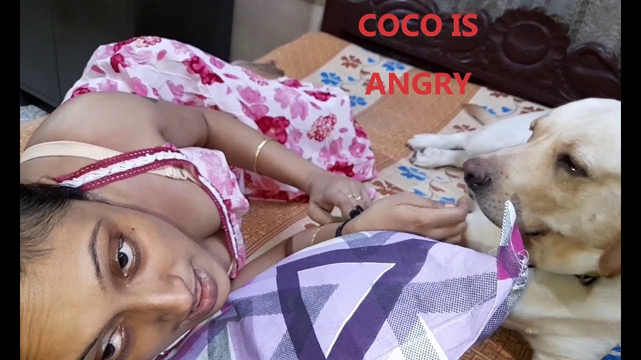 Coco is FURIOUS👿. Mum went to sleep, without giving bedtime cuddles. But Coco knows how to get it 😤😤