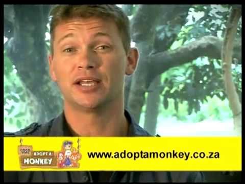 Coco Pops Adopt a Monkey Campaign with Eugene Cussons
