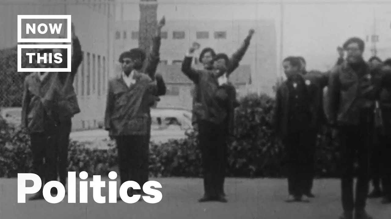 COINTELPRO: Why Did the FBI Target Black Activists Fighting for Equality? | NowThis