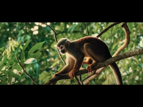 Colombia, el País de la Belleza～コロンビア美を生きる国～ 【日本語字幕付き】