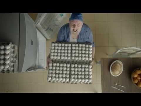 Colon 101 (2014) - Gel 40 - English