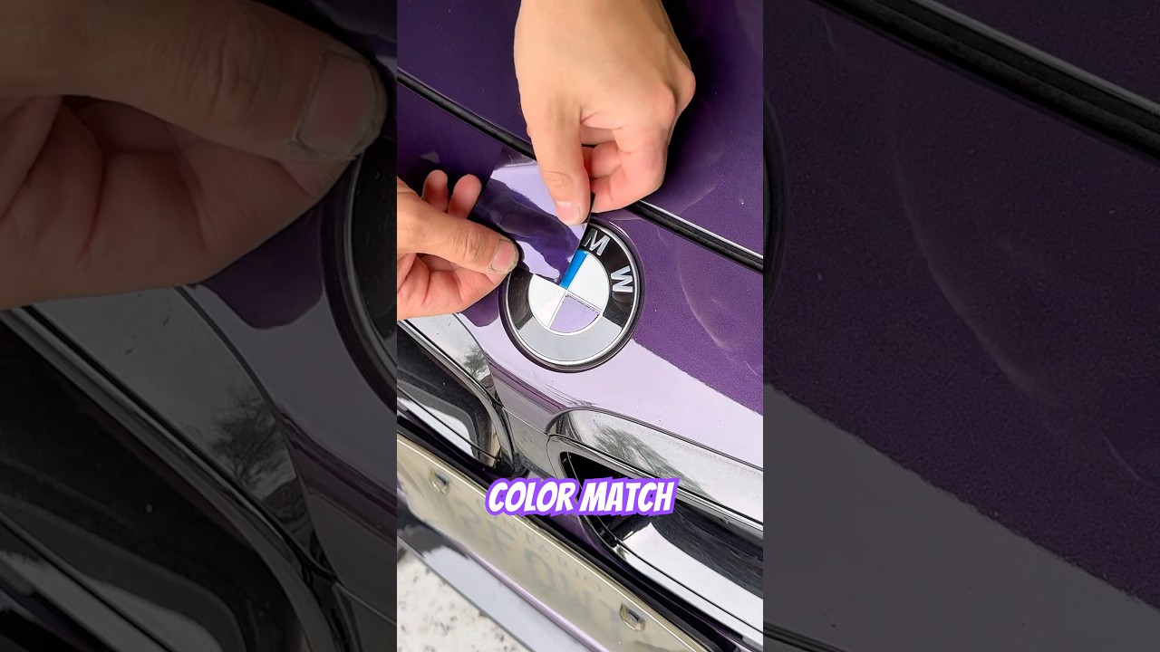 Color matching BMW Emblem to Purple, looks so much better like that🔥