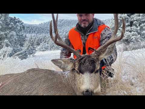 Colorado #muledeer Hunt with Blaze Creek