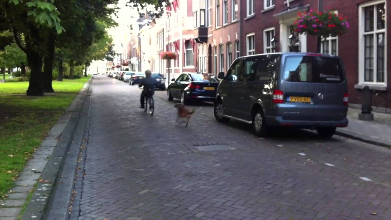 combike