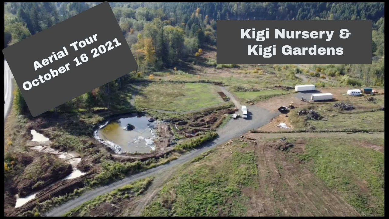 Come Fly With Us! Quick Aerial View Of The New Kigi Nursery & Kigi Gardens Site.