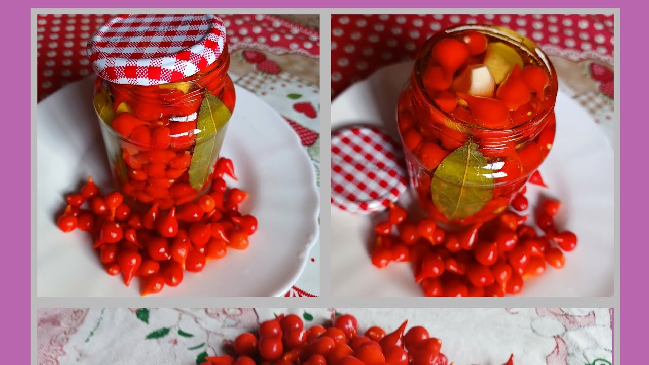 COMO FAZER CONSERVA DE PIMENTA BIQUINHO,DO JEITO MAIS FÁCIL É RÁPIDO!