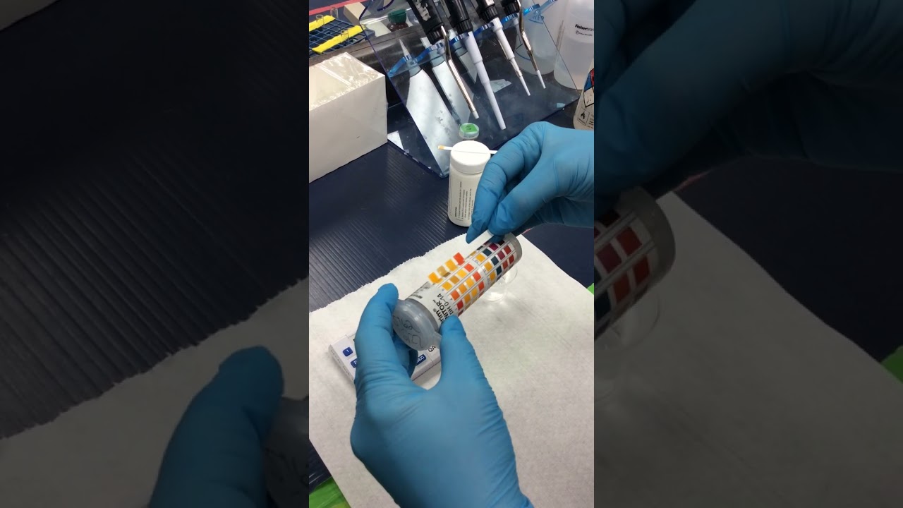 Comparing 5209 and 5162 to Test pH in RO Water