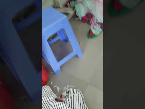 Con thần kinh khoe bướm dcme.