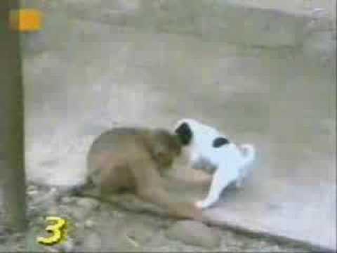 conferindo o tamanho