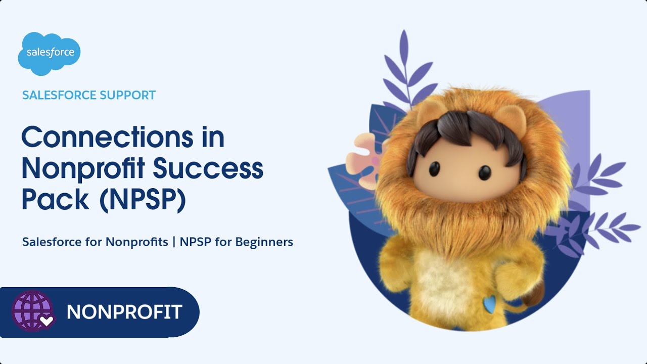 Connections in Nonprofit Success Pack (NPSP) | NPSP for Beginners