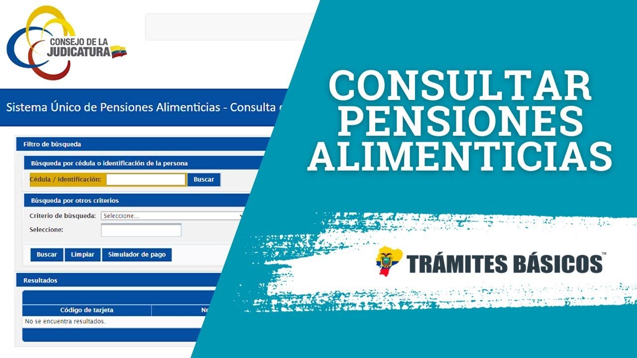 Consulta de pensiones alimenticias SUPA Ecuador ¿Cuánto debo? ¿Ya me depositaron?
