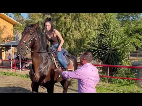 controlling the rearing horse by a beautiful lady #horseriding #horsepower #rearing