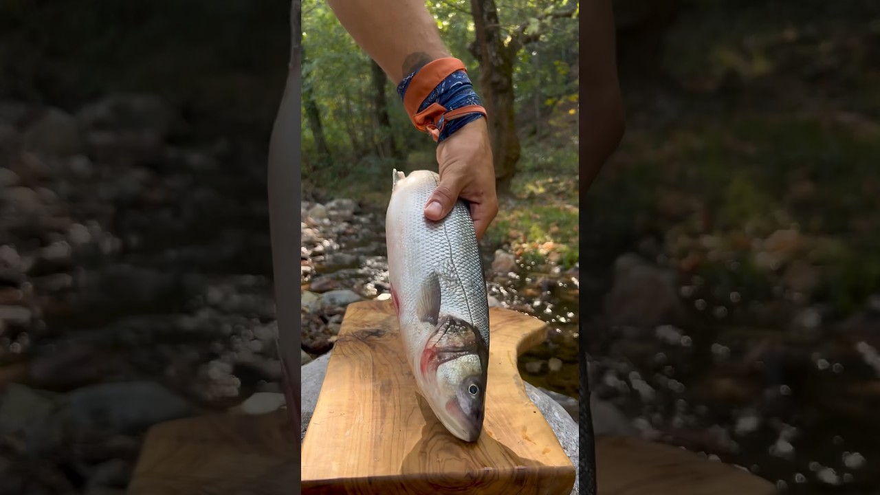 Cooking Fish on The Rock in Nature 🐟