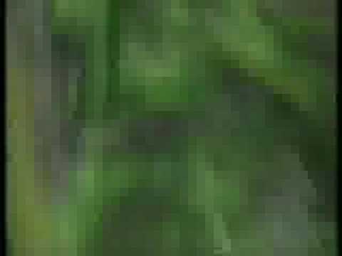 Cool Mint Listerine Tarzan Ad