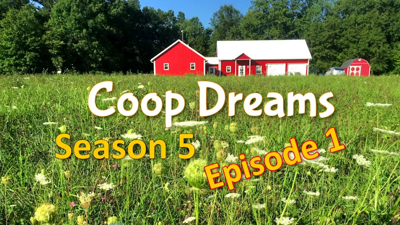 Coop Dreams Season 5 Episode 1 Preview