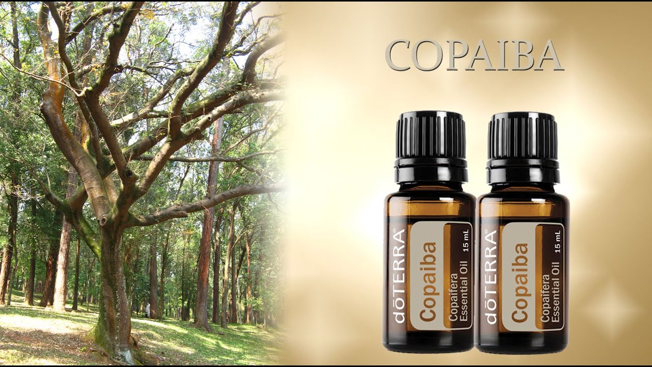 Copaiba - olejek eteryczny