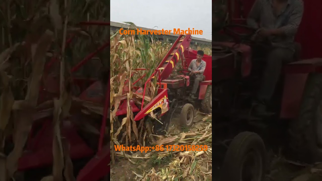 Corn Harvester Machine With Lightning Speed and Amazing Efficiency!