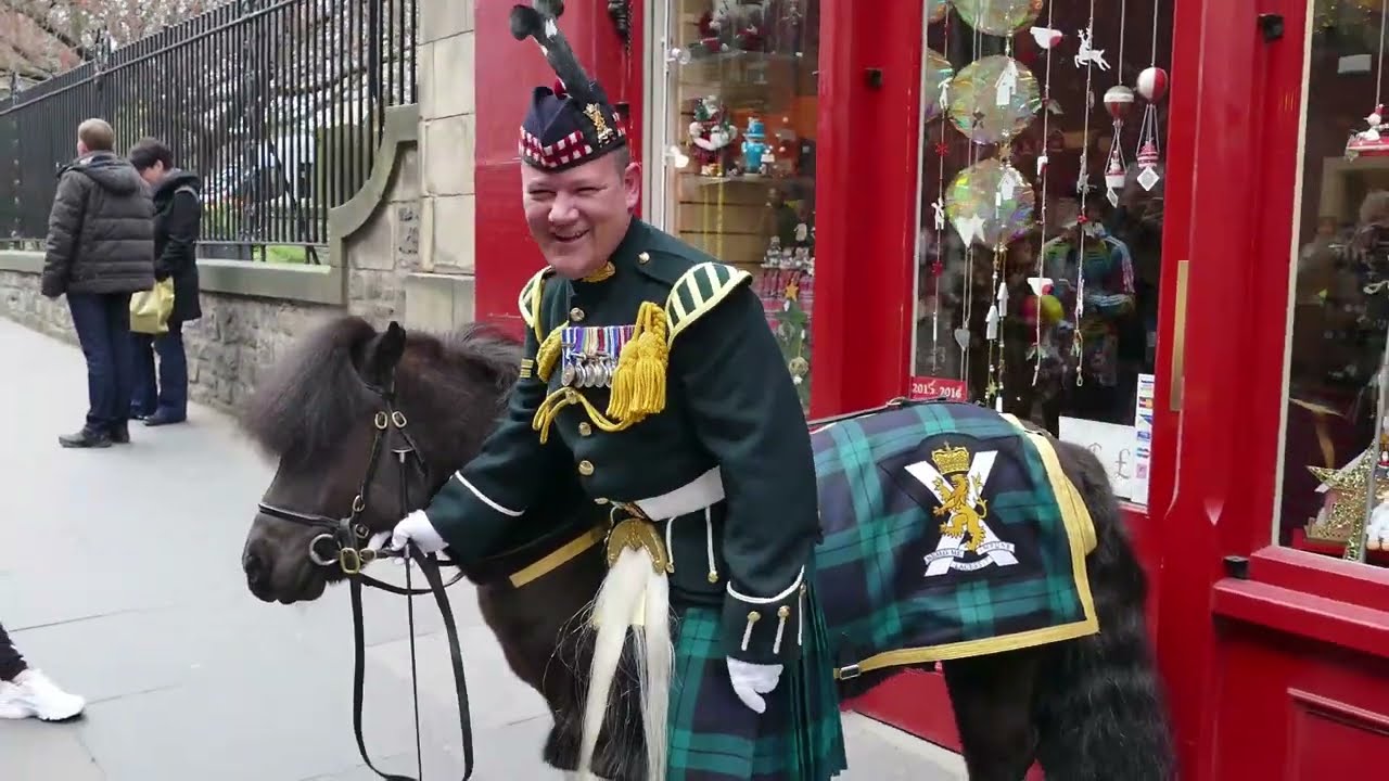 Corporal Cruachan IV - Shetland Pony
