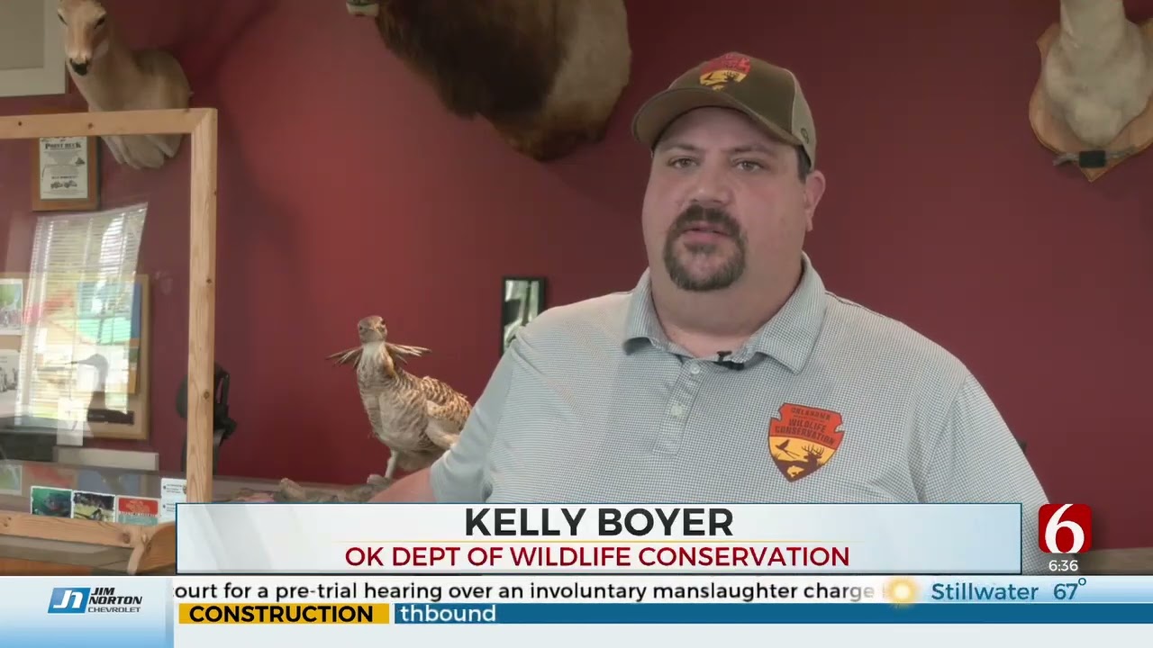 Cost Of Oklahoma Hunting, Fishing Licenses Increase To Help Support Wildlife Department