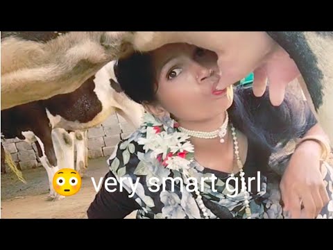 #cow milk 🥛#very beautiful village life with beautiful girl#yogitahindivlogs