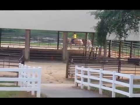 Cowboys Last Ride - JLD 
