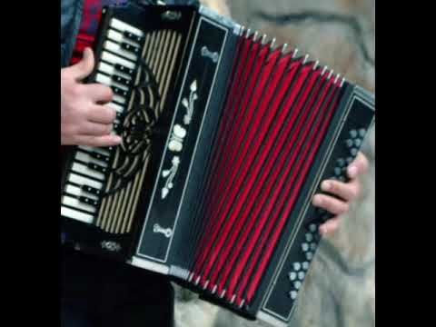 Coxunun axtardigi super qarmon ifasi(azeri bass music 2020)