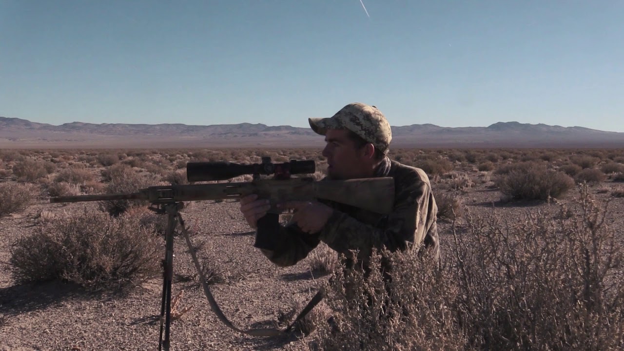 Coyote Hunting - 1400 miles in one weekend - Coyote Assassins Episode 18