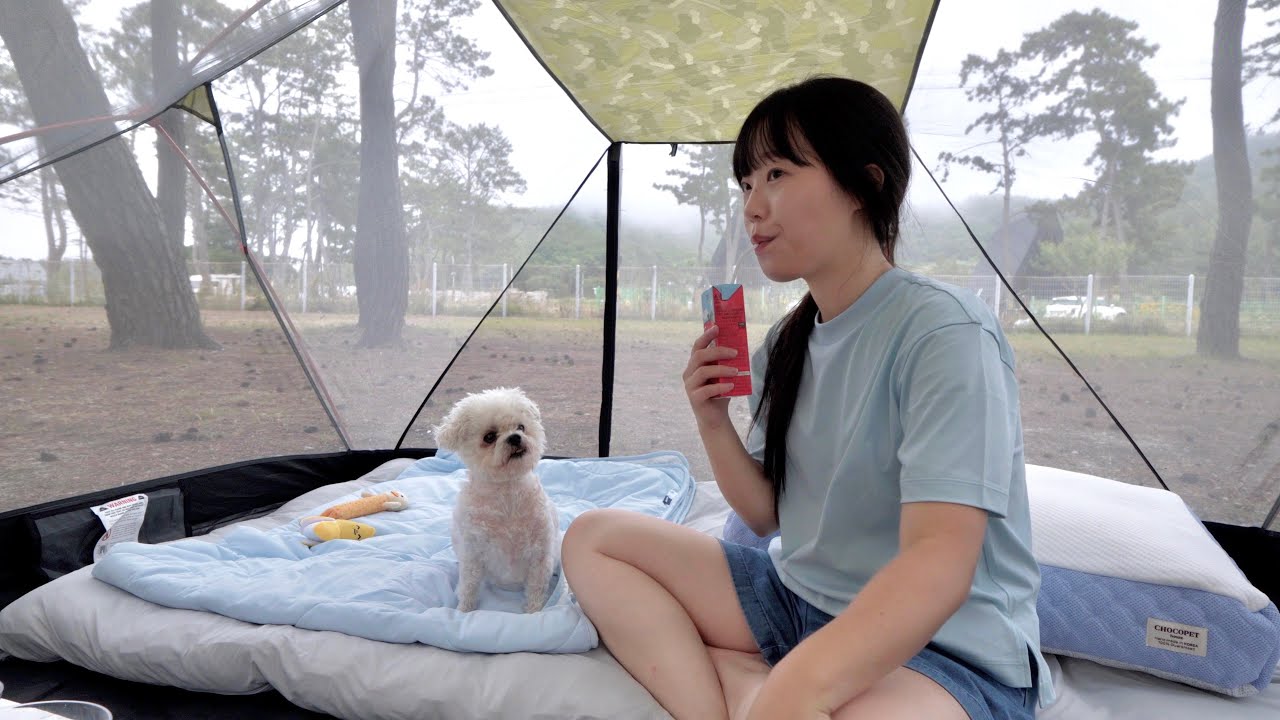 Cozy Solo Camping by the Sea with a Cute Dog | Korean Girl Camper