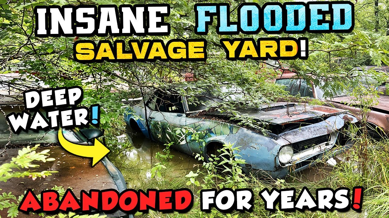 CRAZY Flooded Junk Yard Explored! Multiple Camaros, Mustangs, and MORE! ABANDONED CARS