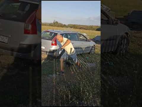 crazy jagd terrier puppy at 2 months/ training with play