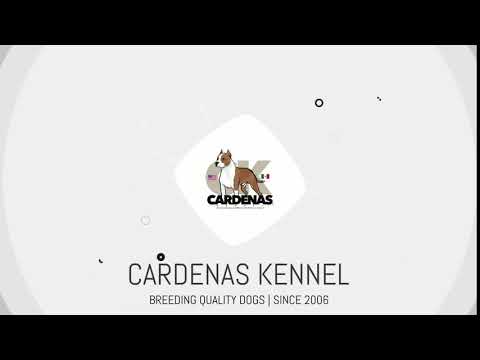 Cárdenas Kennel