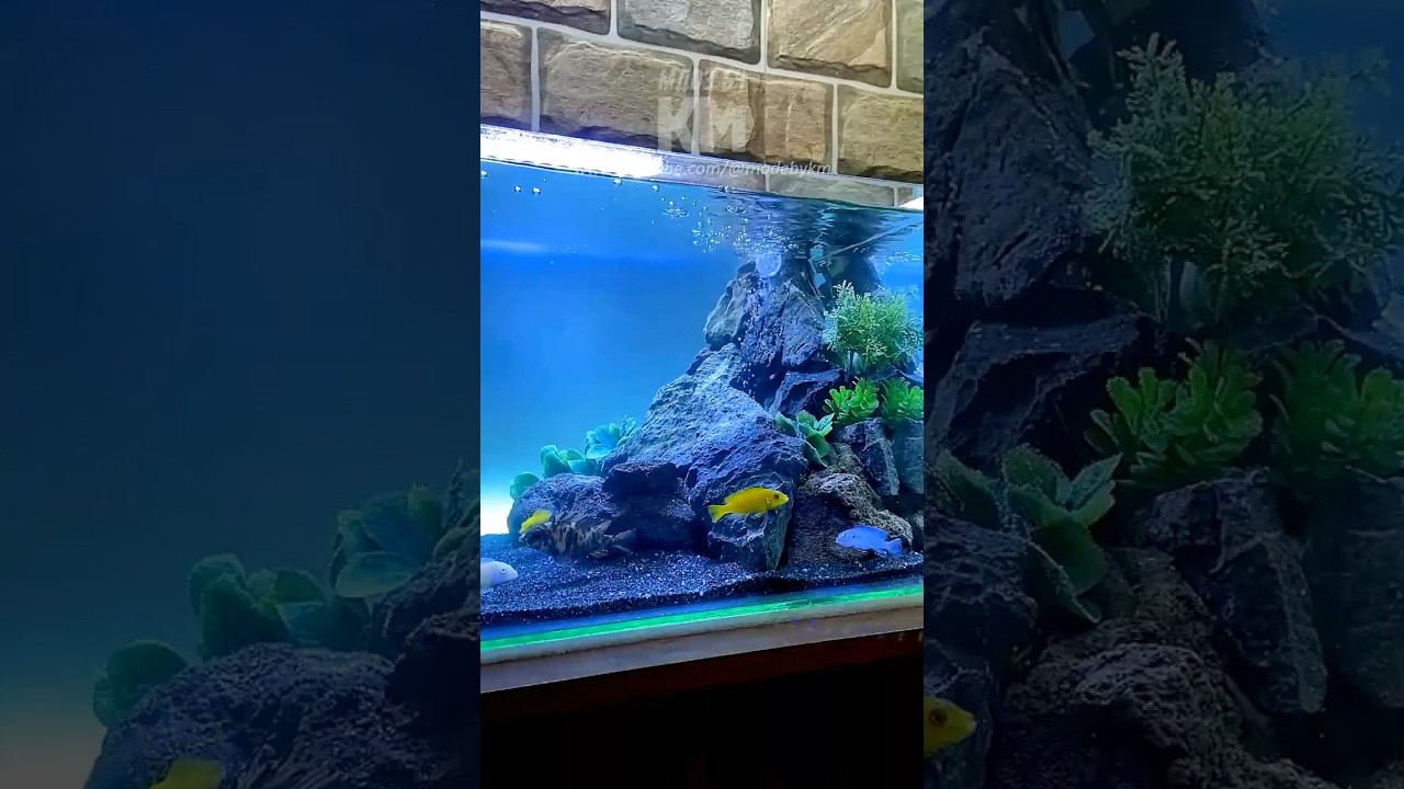 Creating an Underwater Sand Waterfall Aquarium 😍