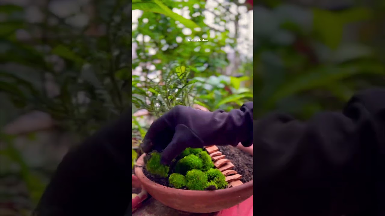 Creating Your Own Miniature Garden Paradise