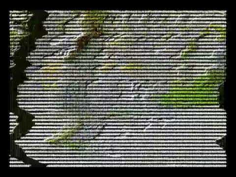 Creepypasta Archives: Fudd.wmv