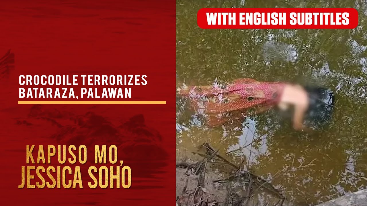 Crocodile terrorizes Bataraza, Palawan (with English subs) | Kapuso Mo, Jessica Soho